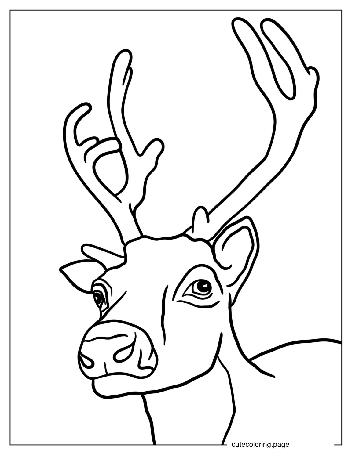 Simple Outline Of Reindeer Head coloring page